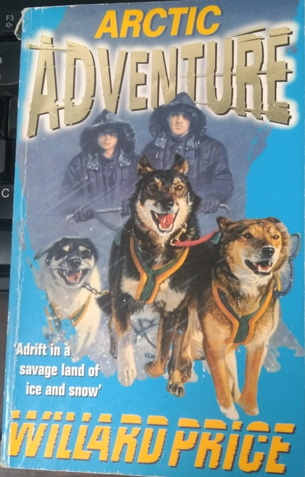 Arctic Adventure